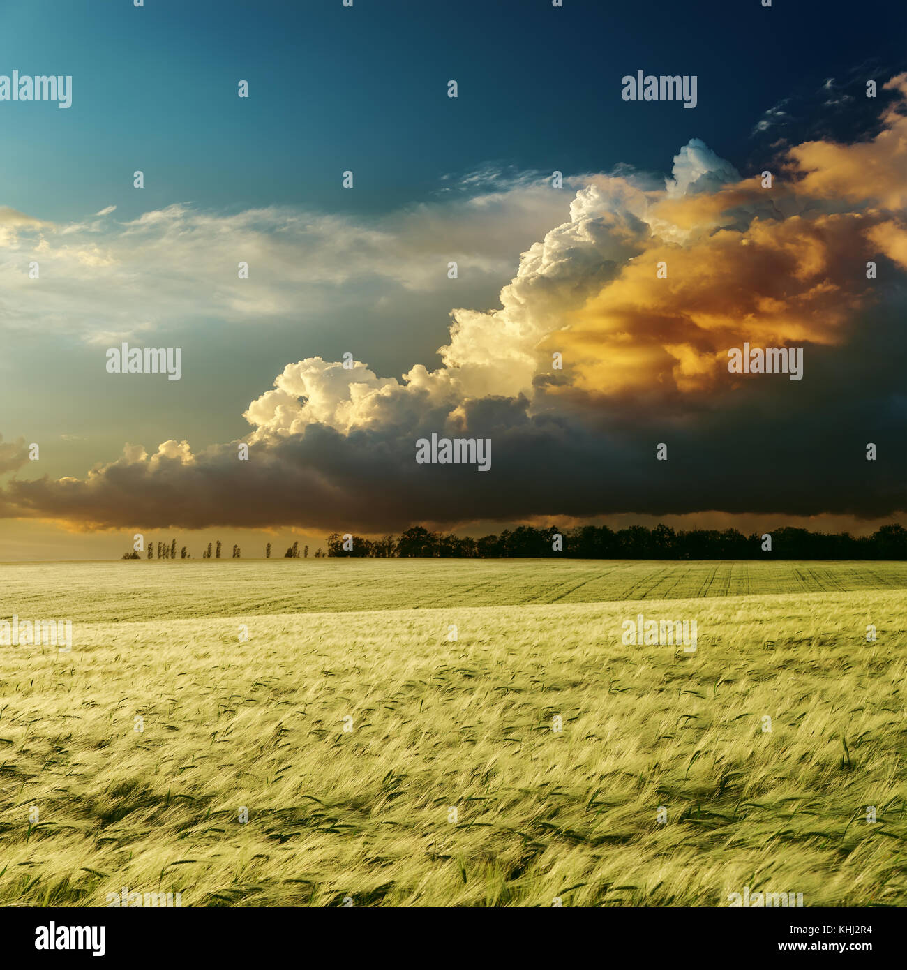 dramatic sunset over green field Stock Photo - Alamy