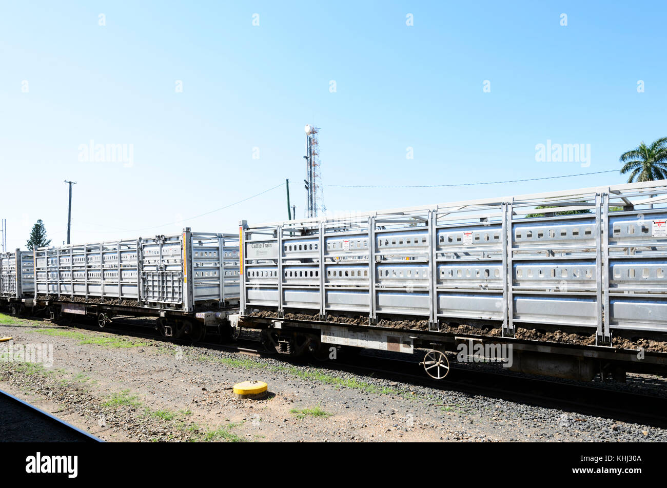 Modern cattle train on sidings at Emerald railway station, Central