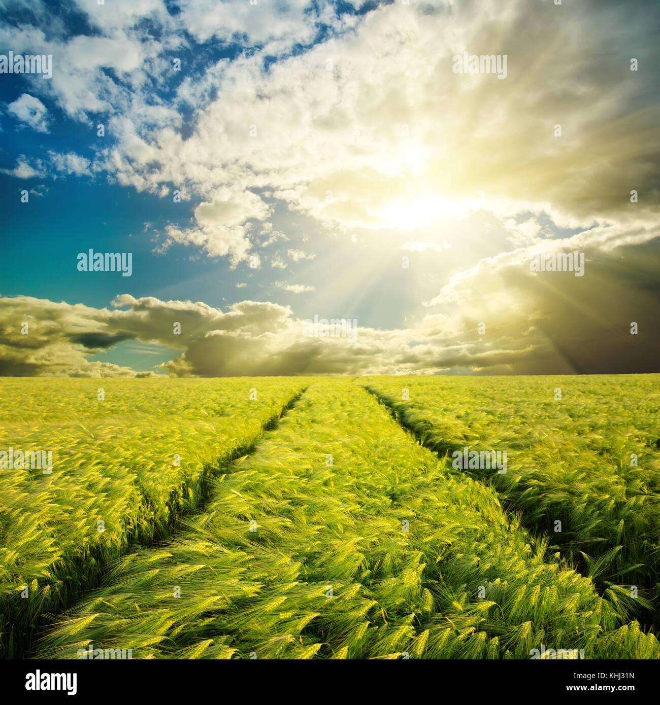 cloudy sunset over green field Stock Photo - Alamy