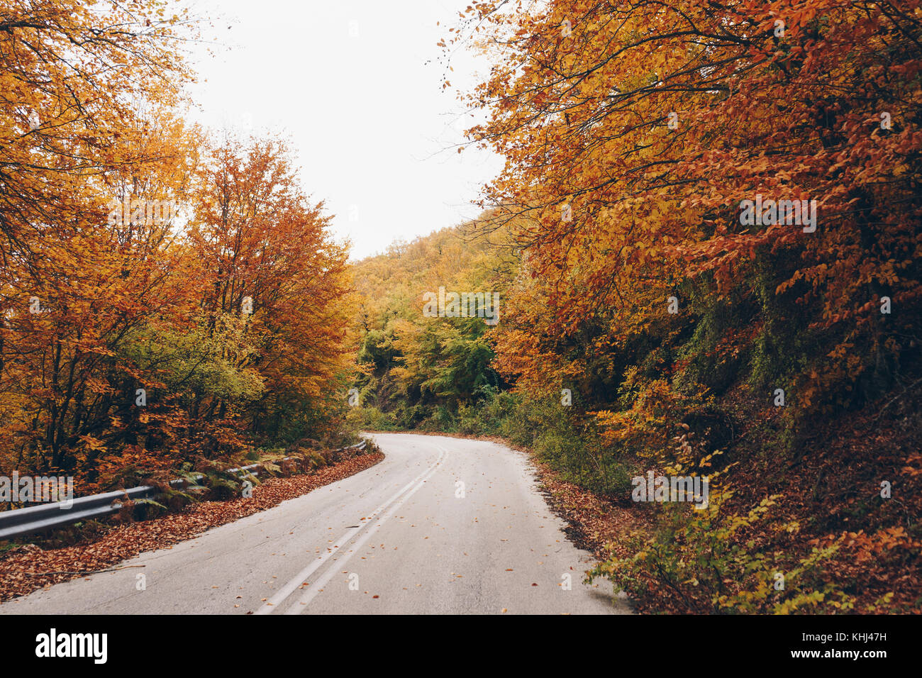 Road in autumn forest, nature landscape Stock Photo - Alamy