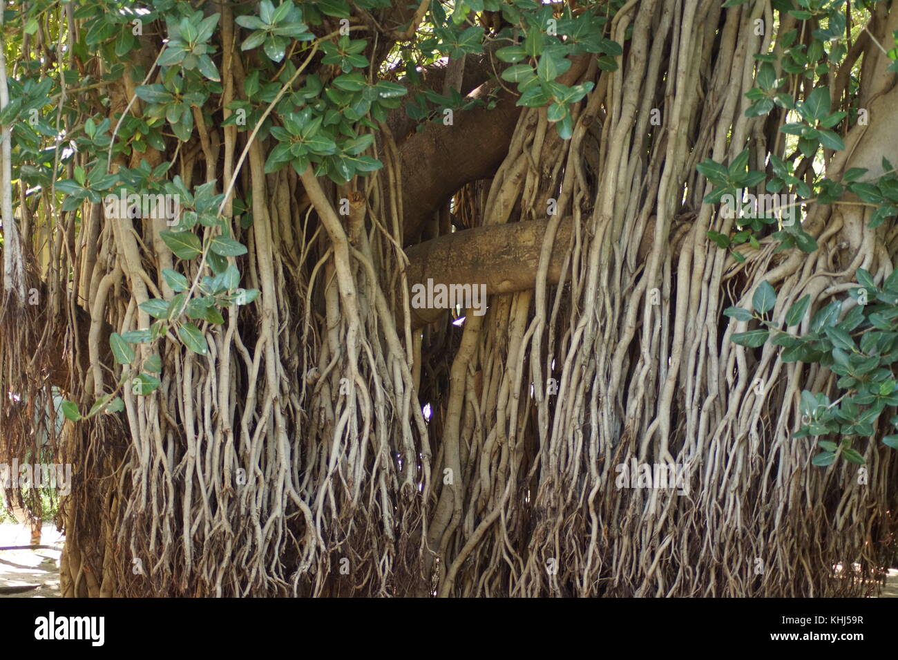 Beauty of Ajanta Stock Photo - Alamy