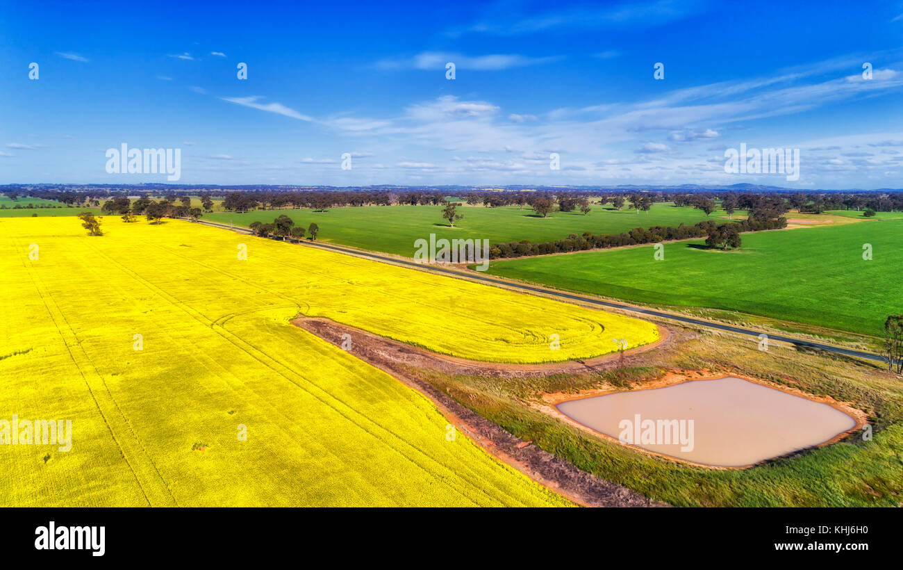 Waterpin next to autonomous windmill at the blossoming canola field in remote agriculture farm of regional Victoria on a sunny bright day. Stock Photo