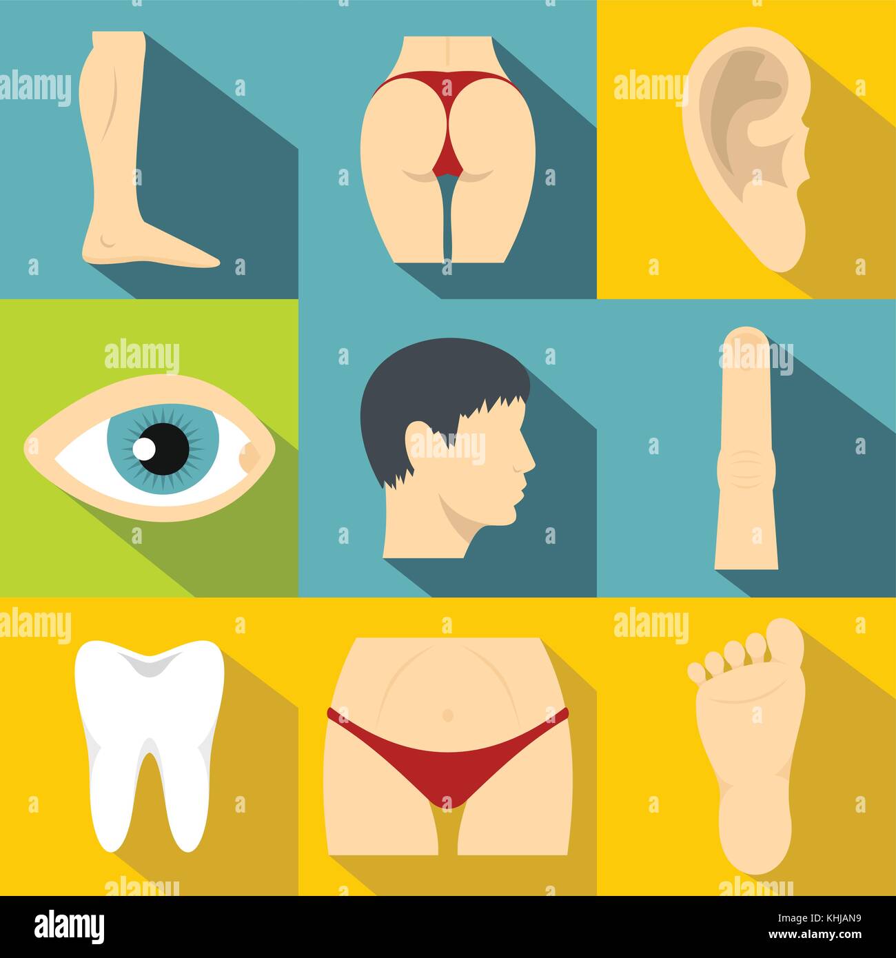 Anatomy of human buttocks hi-res stock photography and images - Alamy