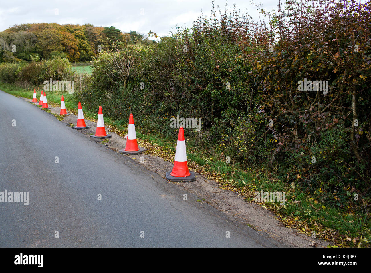 A line of cones on a country lane marking out the edge of the road and the grass verge. Stock Photo