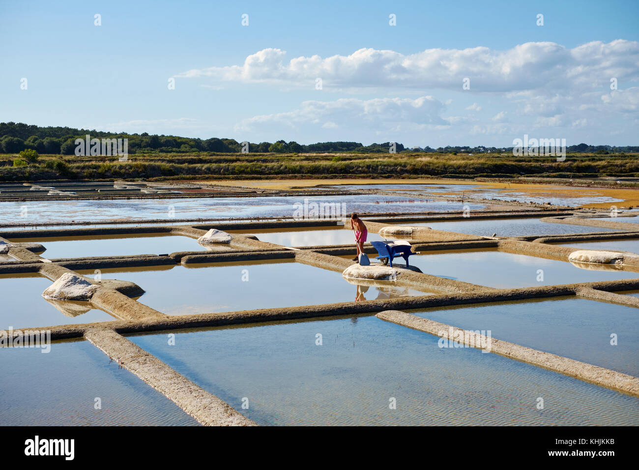 The summer landscape of the working salt flats of Guerande near Le Croisic in the Loire - Atlantique region of Brittany France. Stock Photo