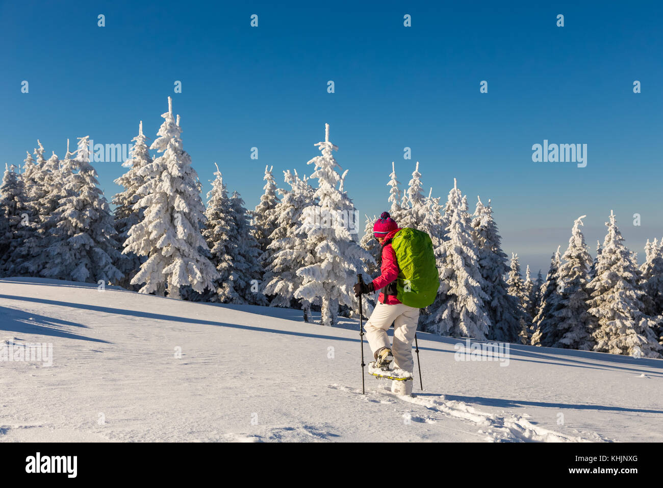 Female snowshoeing in deep snow, using poles, on a sunny day Stock Photo