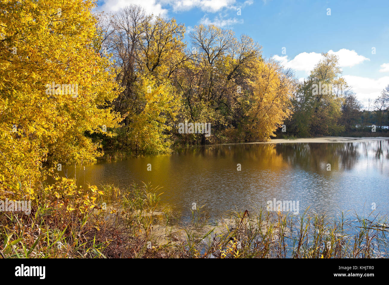 vibrant colors of autumn along wooded banks of black dog lake at