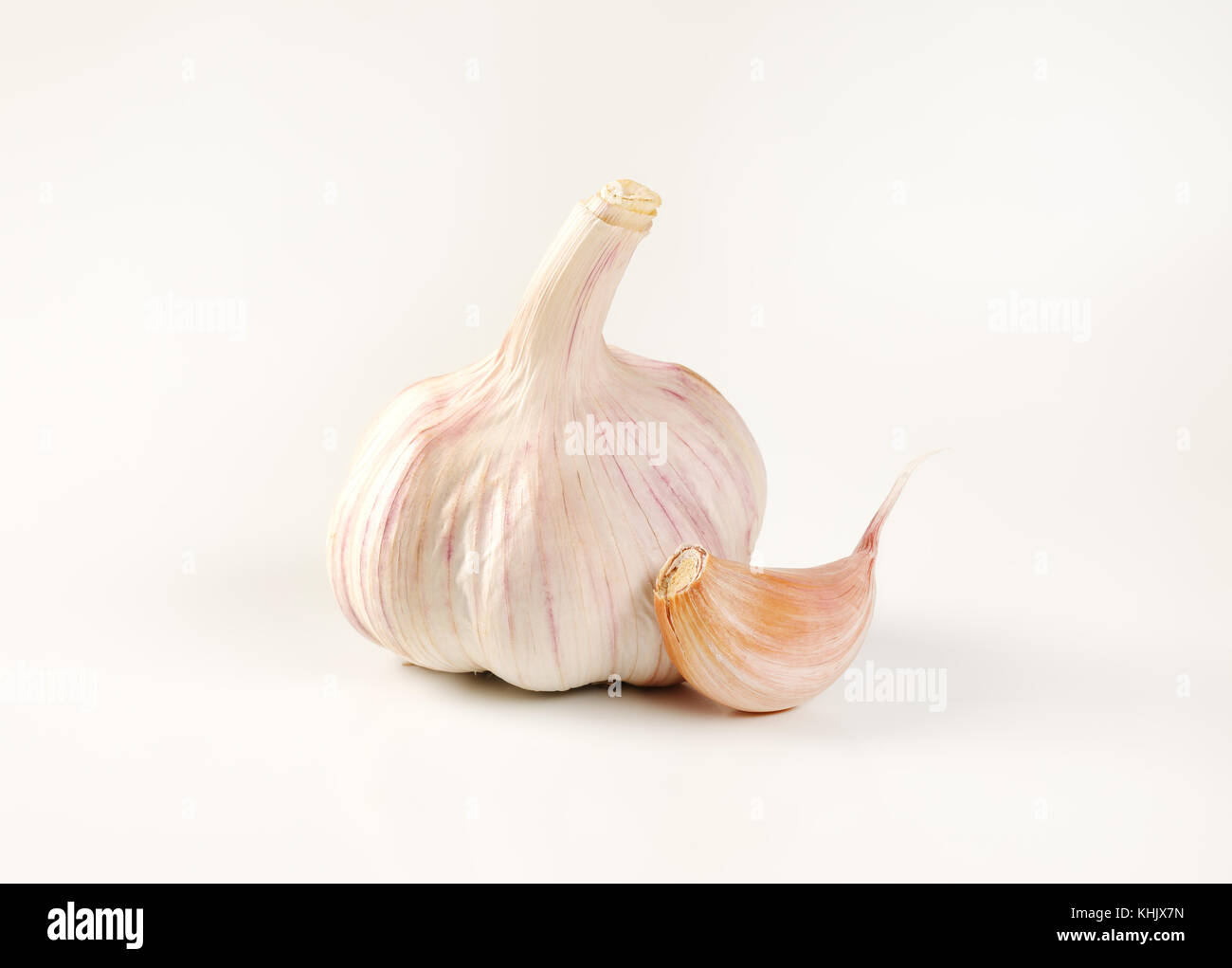 bulb and clove of fresh garlic on white background Stock Photo - Alamy