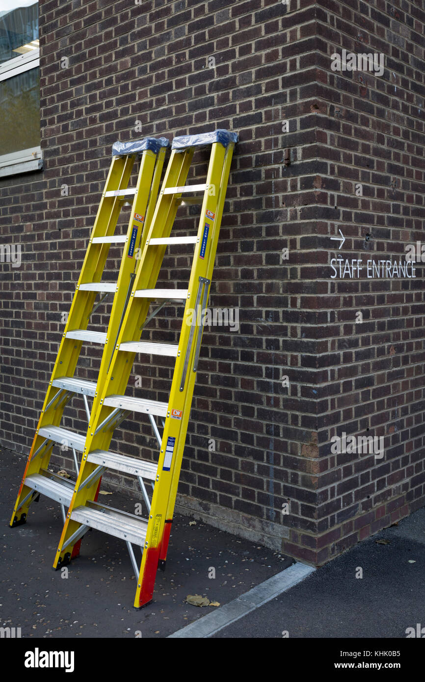 Step ladders are propped up against a wall, at the rear staff entrance