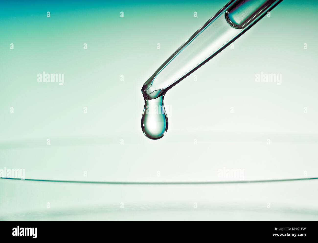 Pipette with drop over a petri dish. Stock Photo