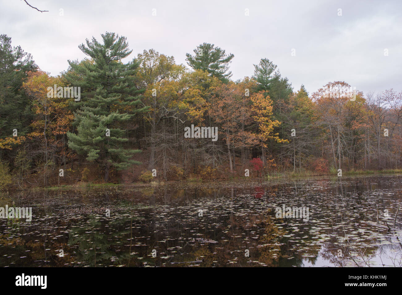 Ma in hires stock photography and images Alamy