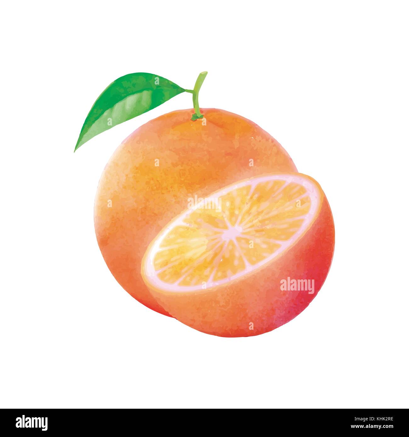 Watercolor fruit Stock Vector Images - Alamy