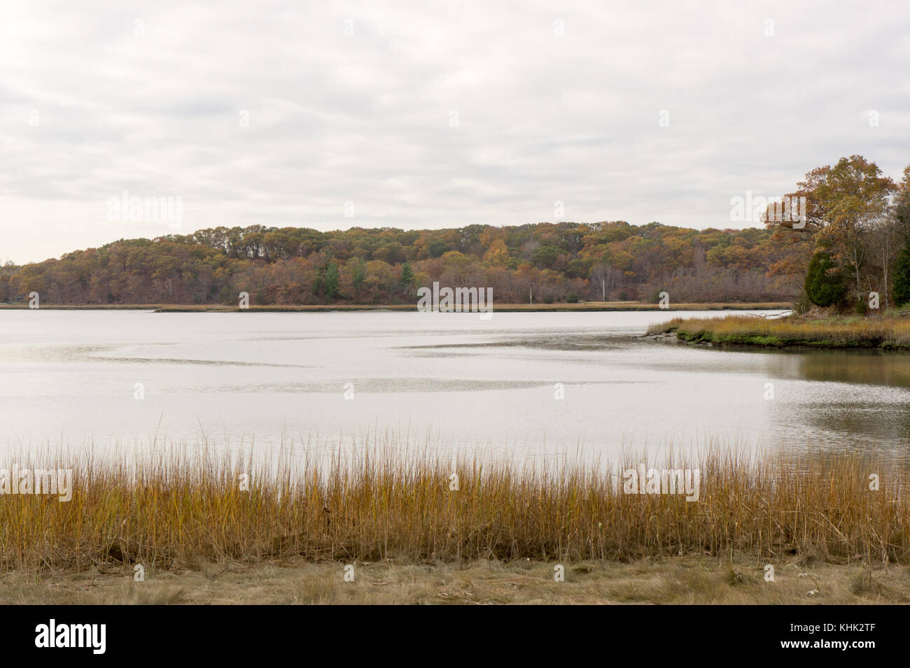 Bare cove Park, Hingham MA in the fall Stock Photo Alamy