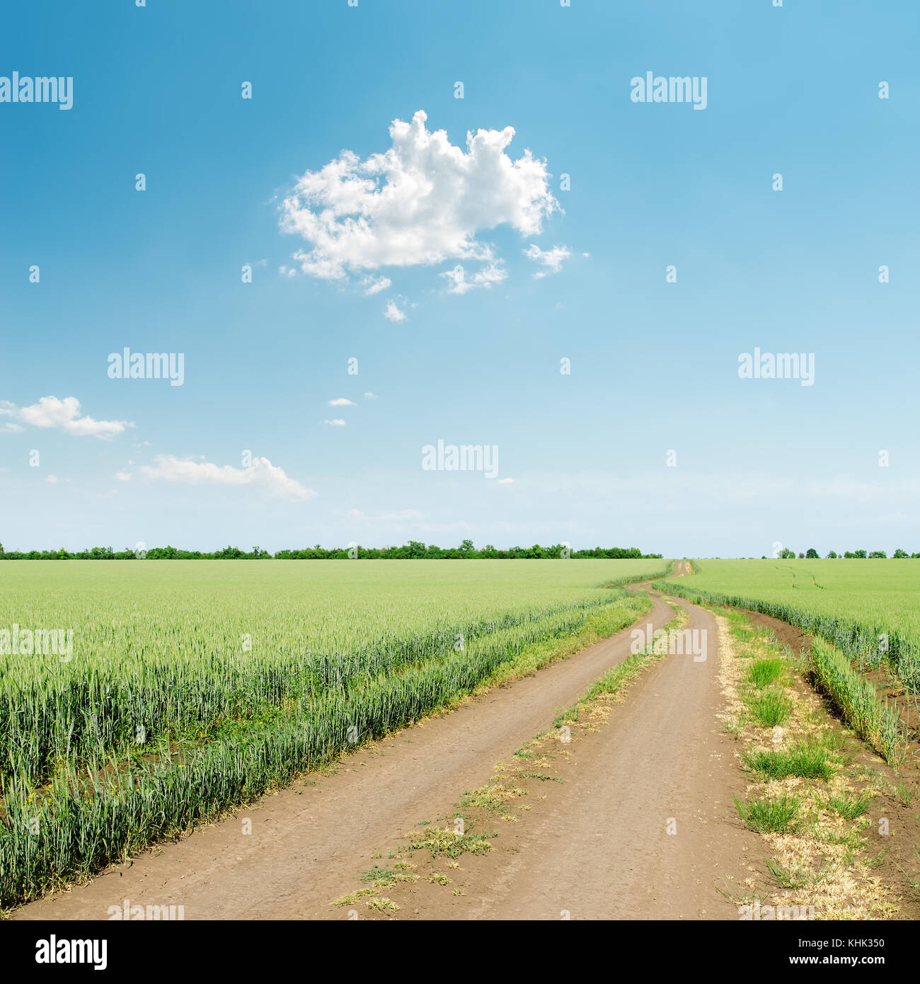 dirty road in green grass and white cloud over it Stock Photo - Alamy