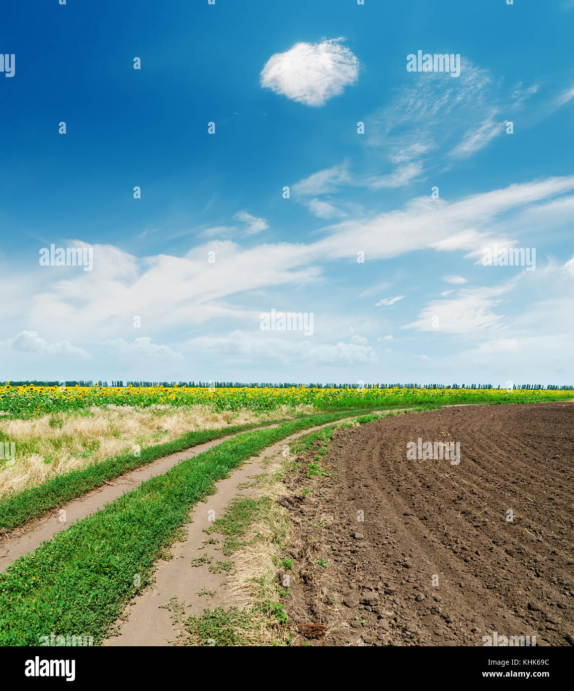 agriculture landscape under blue sky with clouds Stock Photo - Alamy
