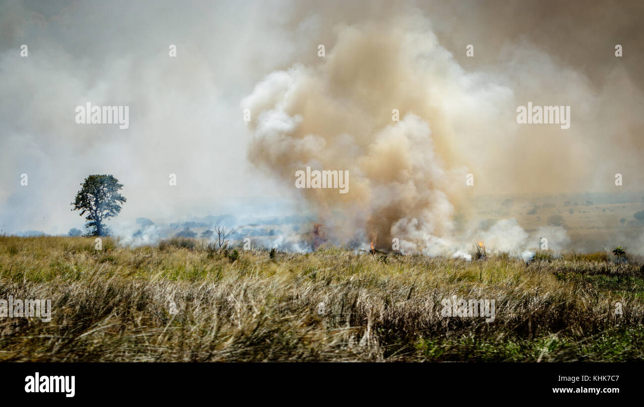 Slash and burn farming fire hires stock photography and images Alamy