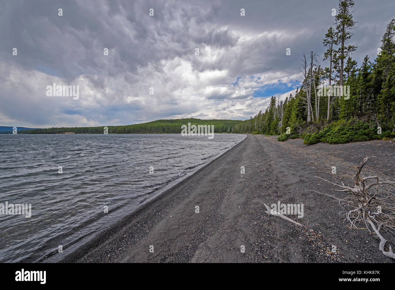 Wild Shore on a Shoshone Lake in Yellowstone National Park Stock Photo