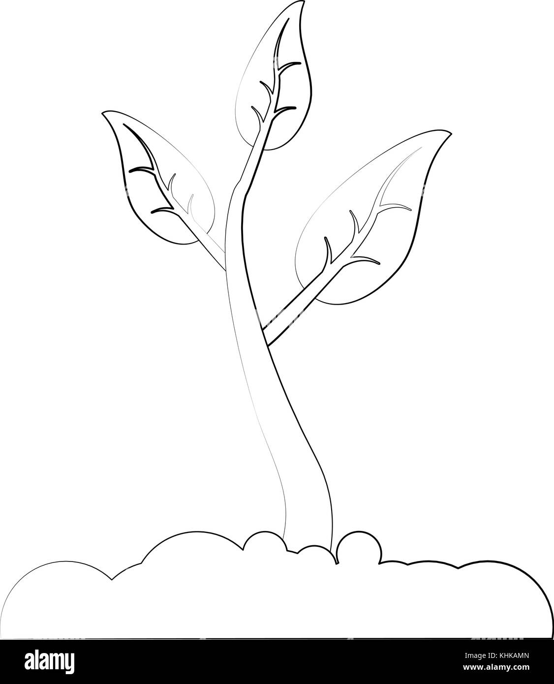Plant growing in ground Stock Vector Image & Art - Alamy