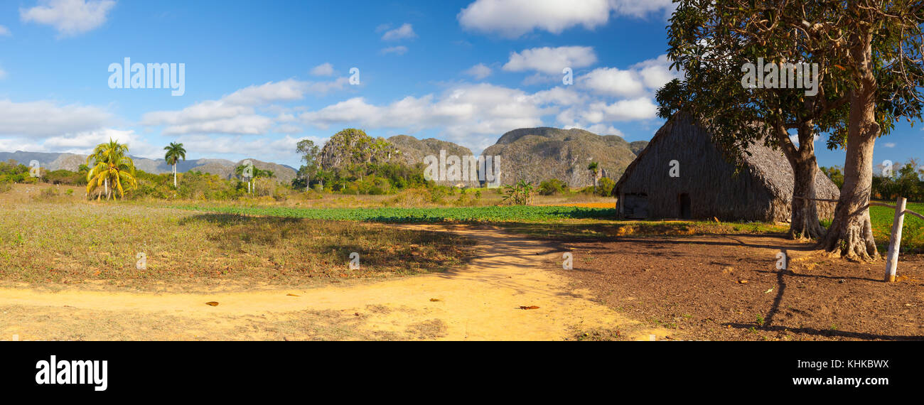 Scenery on the tobacco farm,Valley de Vinales, Pinar del Rio, Cuba. Stock Photo