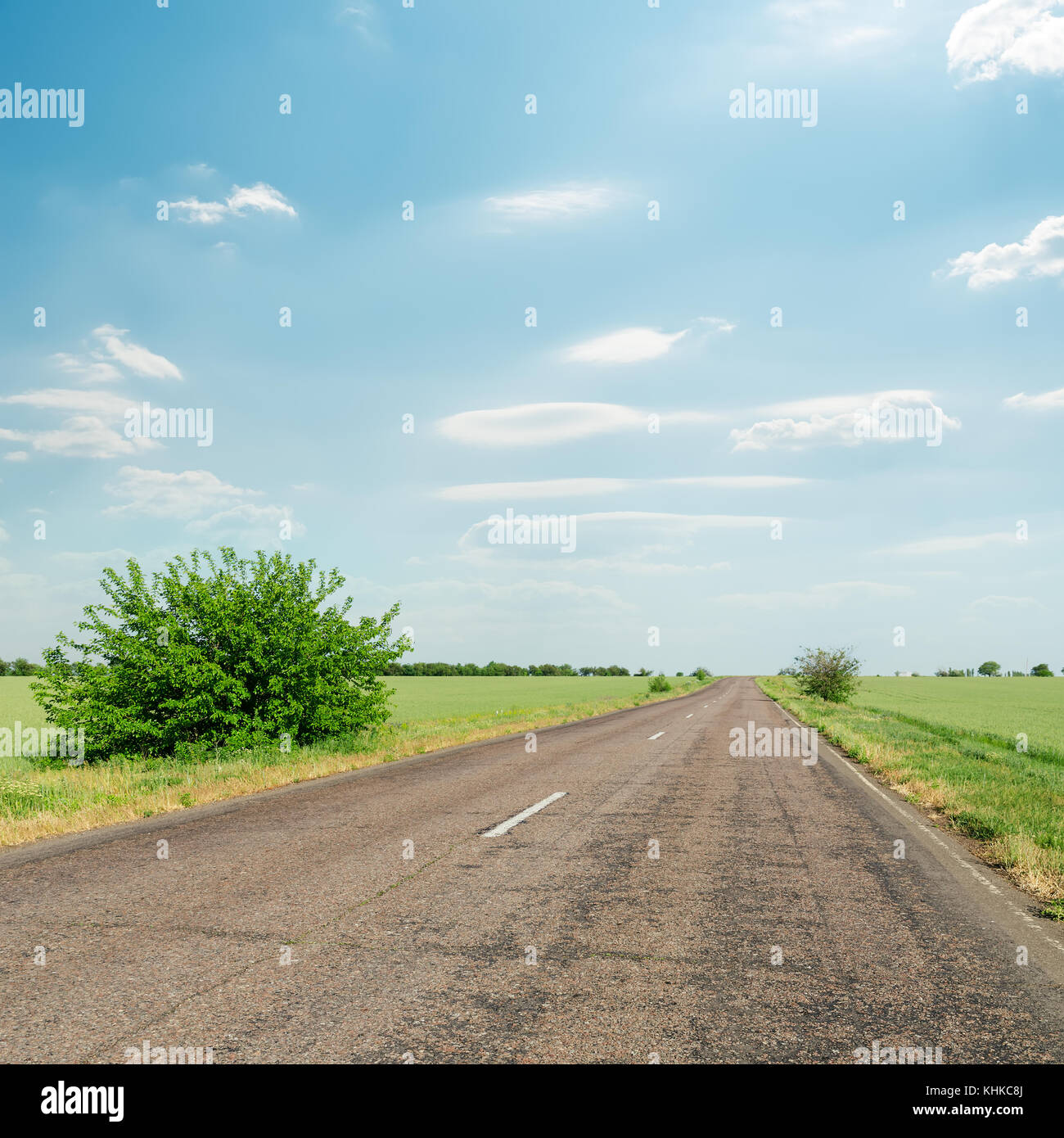 Asphalt road in green hi-res stock photography and images - Alamy