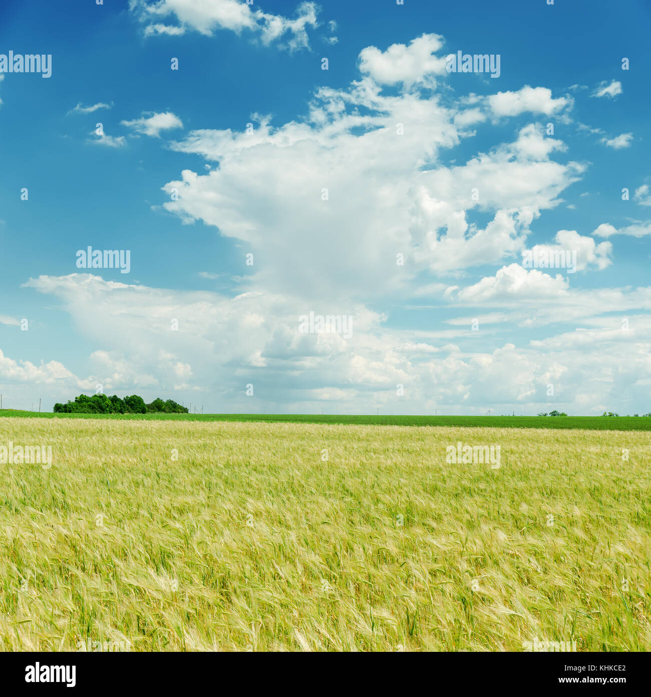 blue cloudy sky and green field Stock Photo - Alamy