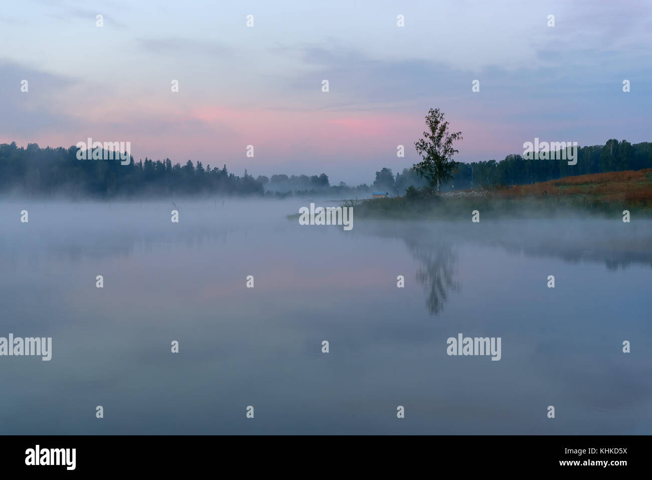 Beautiful delicate white pink sunrise with fog on the lake with ...