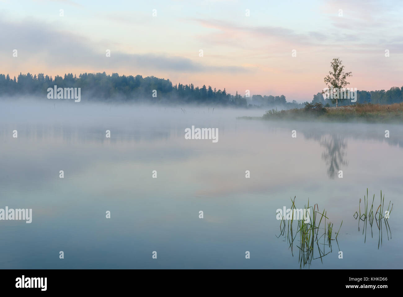 Beautiful delicate white pink sunrise with fog on the lake with ...