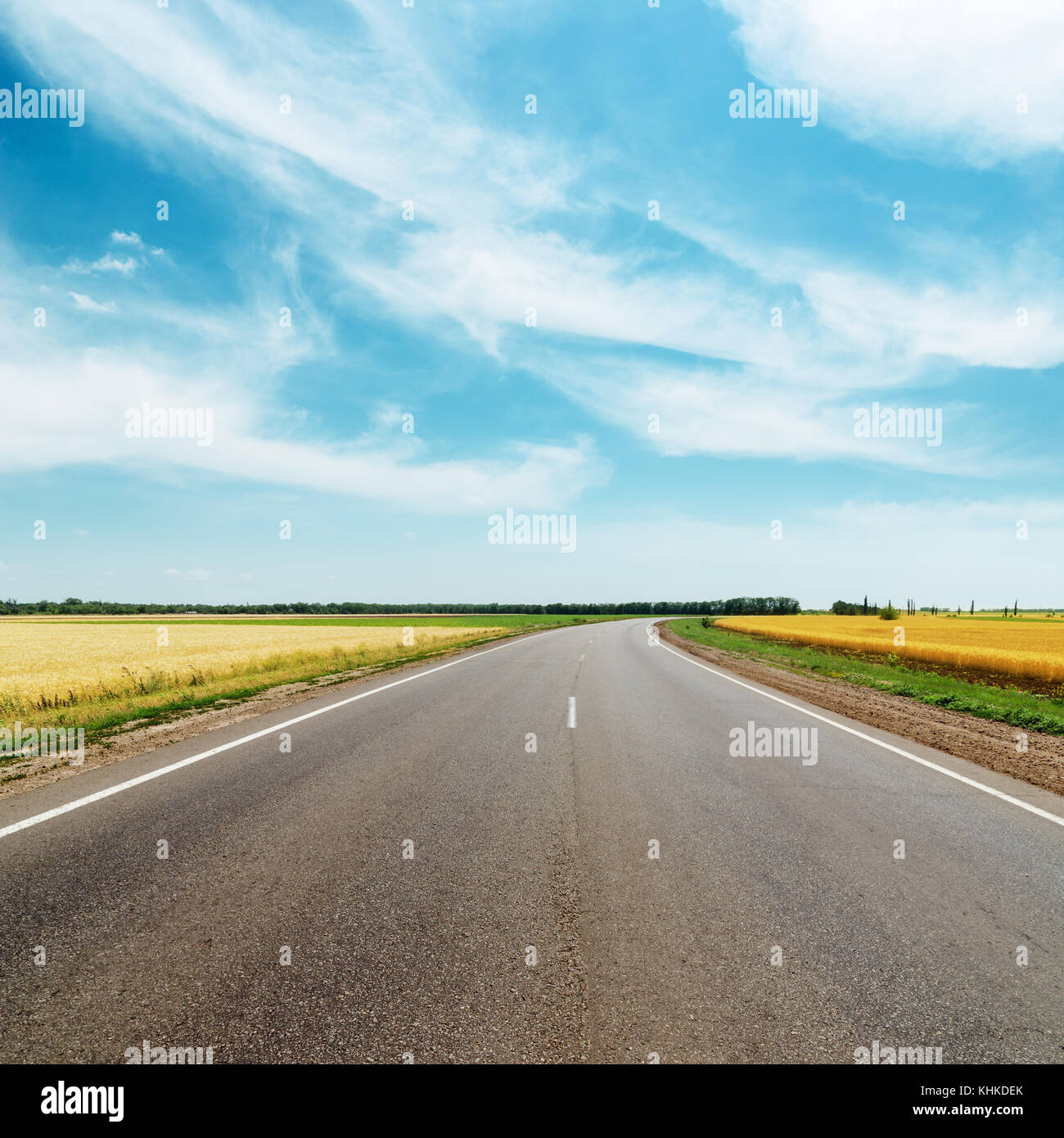 asphalt road to horizon between golden fields under blue sky with ...