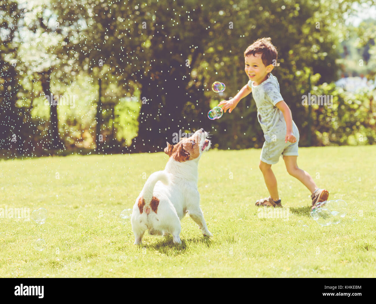 Carefree kid and pet dog playing with flying soap bubbles at sunny summer day Stock Photo