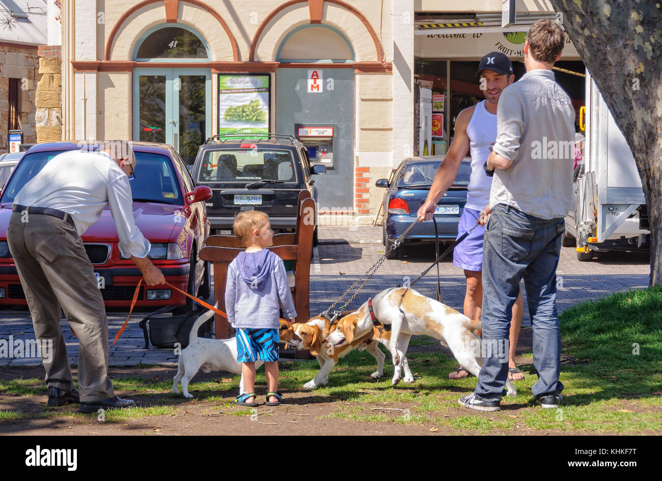 Three dog owners, their pets and a little boy on Salamanca Lawns - Hobart, Tasmania, Australia Stock Photo