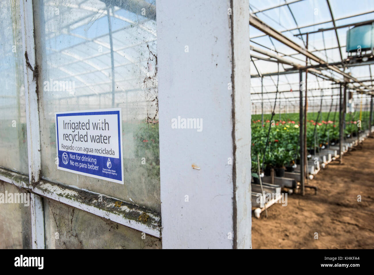 Kitayama Brothers, Inc. (KBI) hydroponic greenhouses with micro