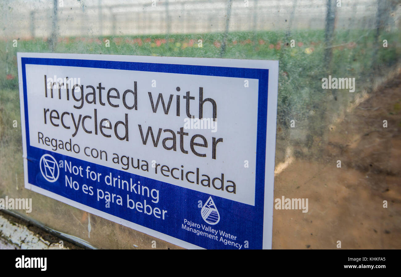 Kitayama Brothers, Inc. (KBI) hydroponic greenhouses with micro