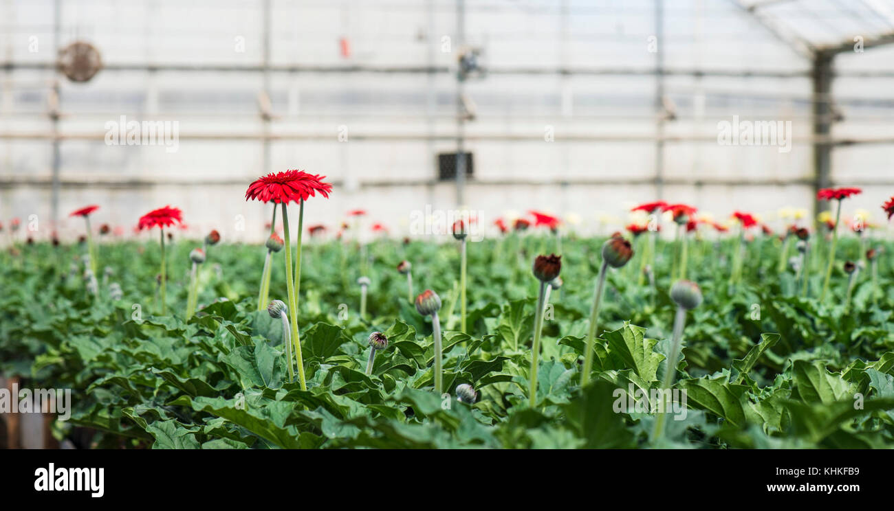 Rainwater reuse system hires stock photography and images Alamy