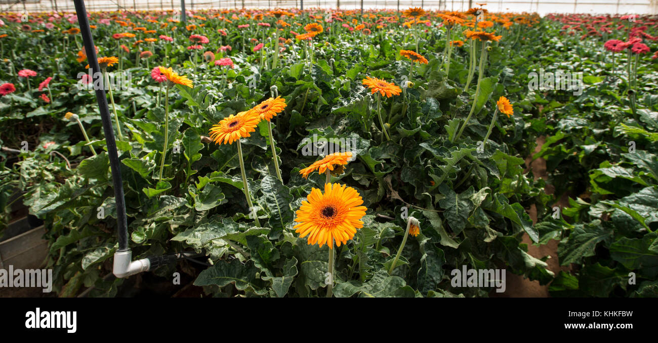 Rainwater reuse system hires stock photography and images Alamy