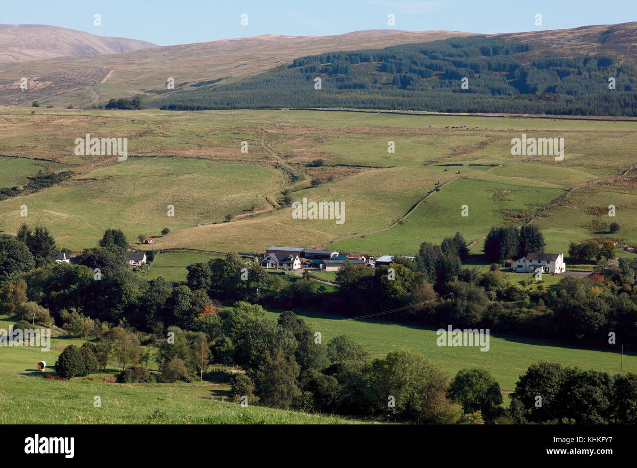 The Annandale valley in the Moffat hills of the Scottish Borders, just north of Moffat Stock Photo