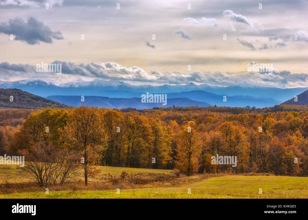 Beautiful landscape with colorful autumn trees with snowy mountains in ...
