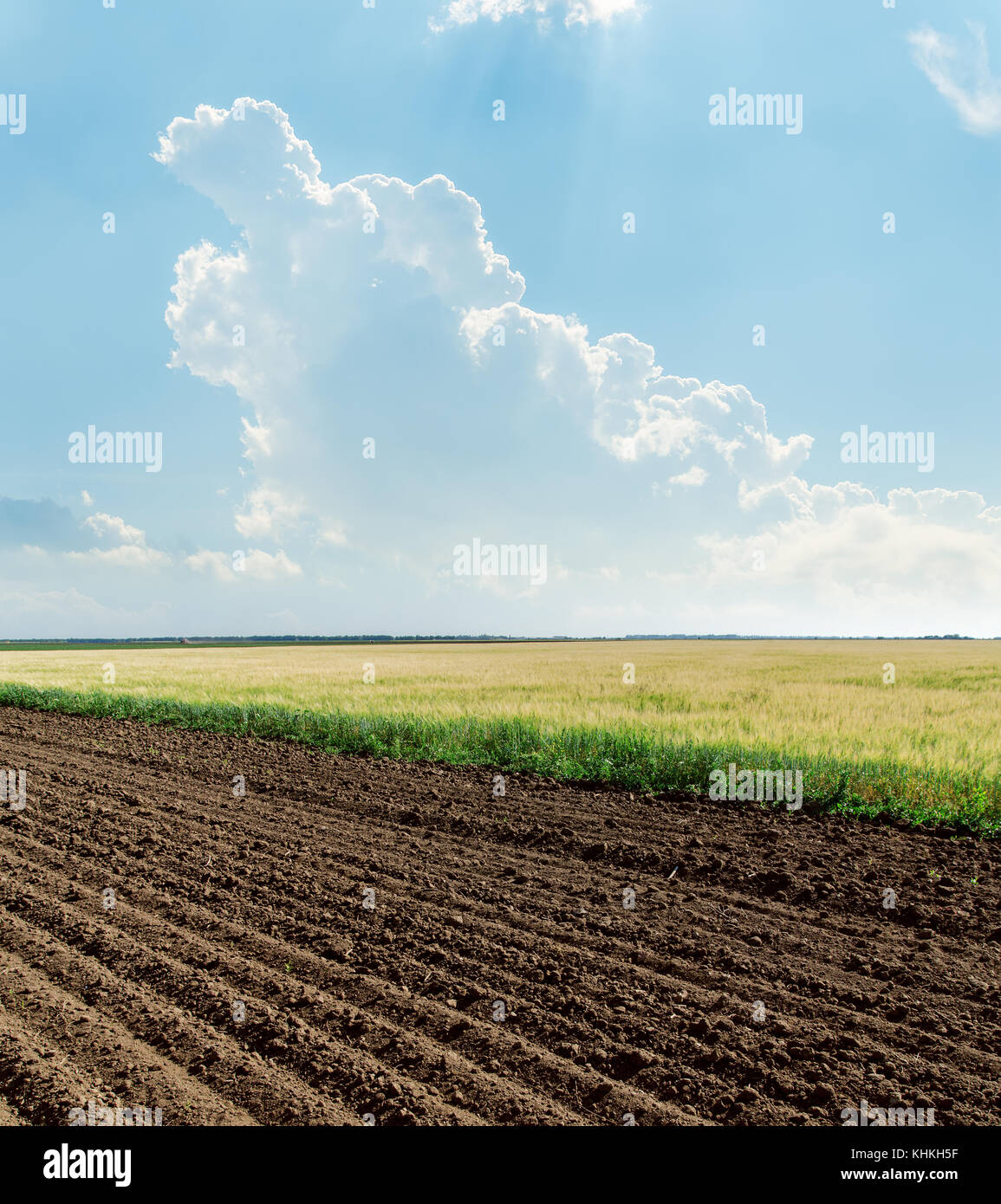 agricultural fields and cloud in blue sky Stock Photo - Alamy