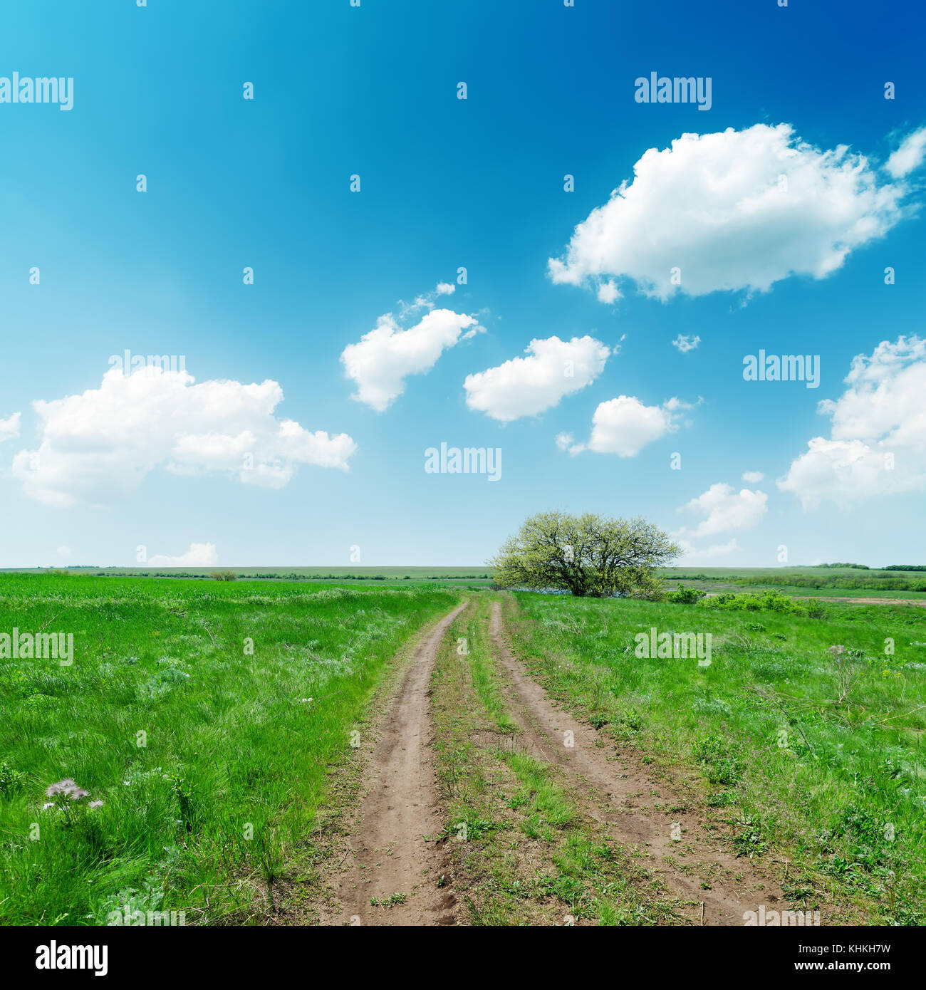 dirty road in green fields and blue sky with clouds Stock Photo - Alamy