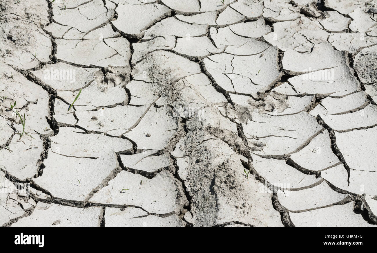 Close-up of soil erosion texture. Arid ground in summer hot. Barren ...
