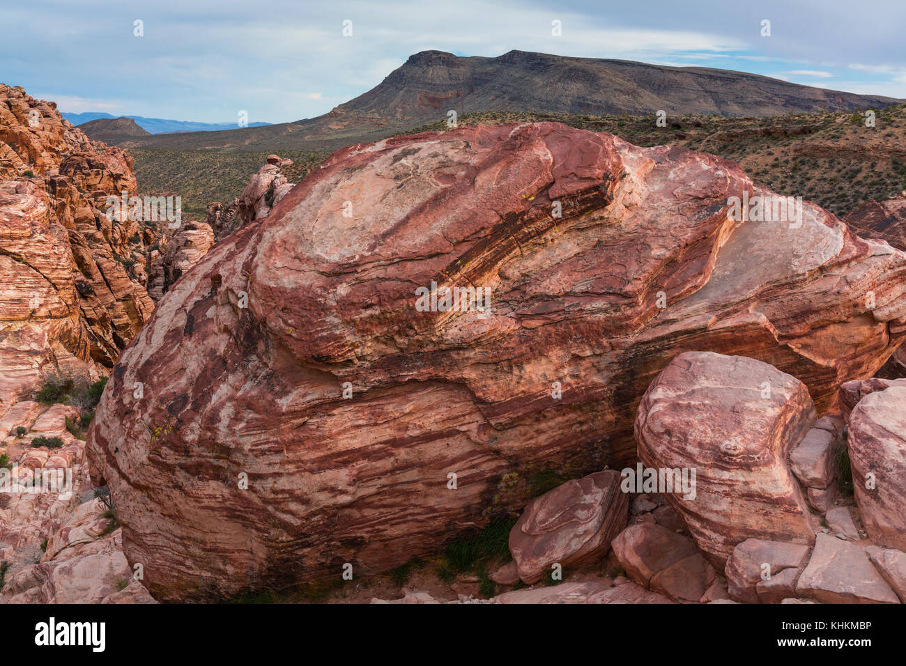 Red Rock Canyon, Clark County, Nevada, USA, America Stock Photo