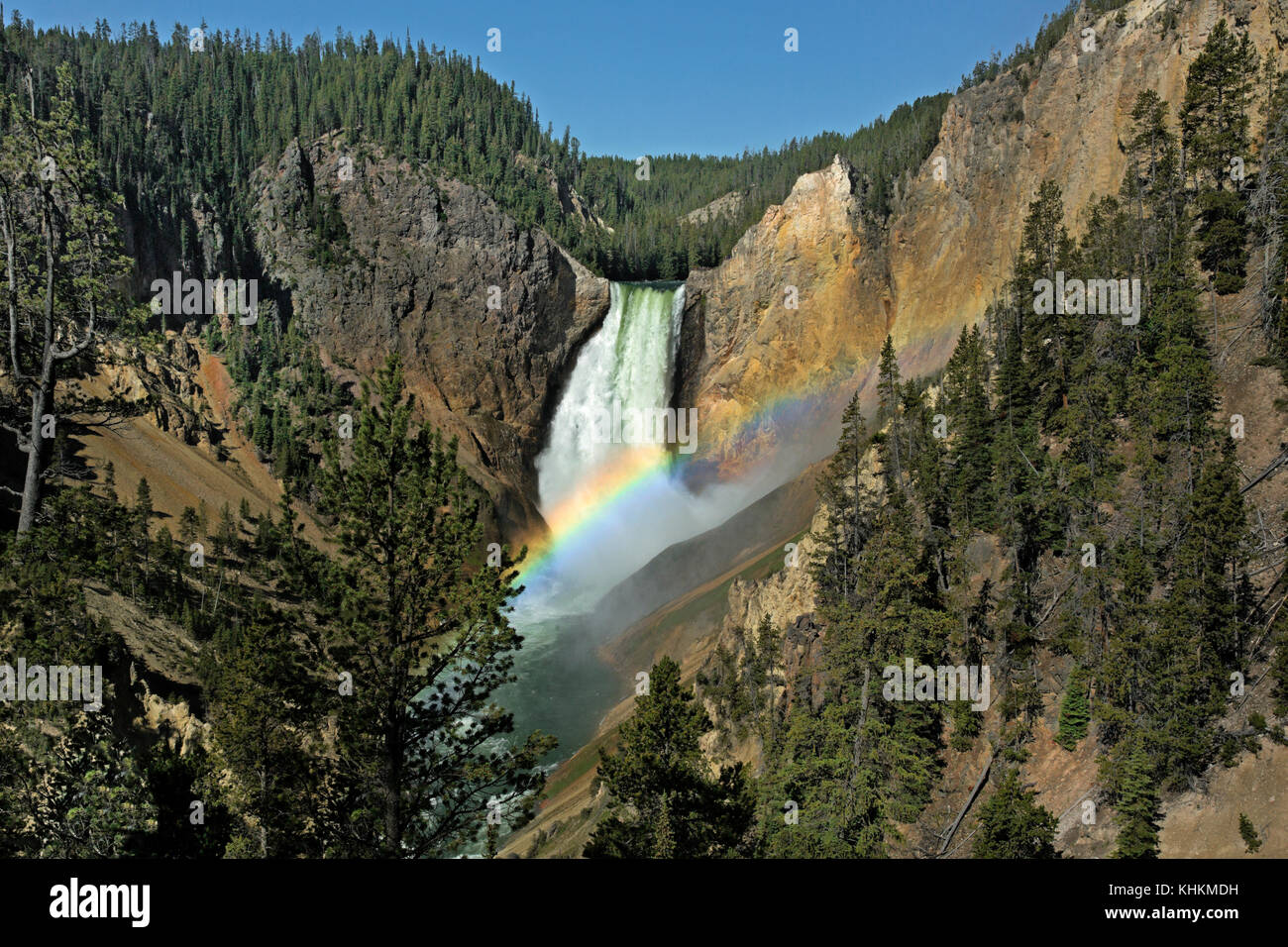 WY02628-00...WYOMING - Rainbow at Lower Falls from Red Rock Point in the Grand Canyon of the Yellowstone at Yellowstone National Park. Stock Photo