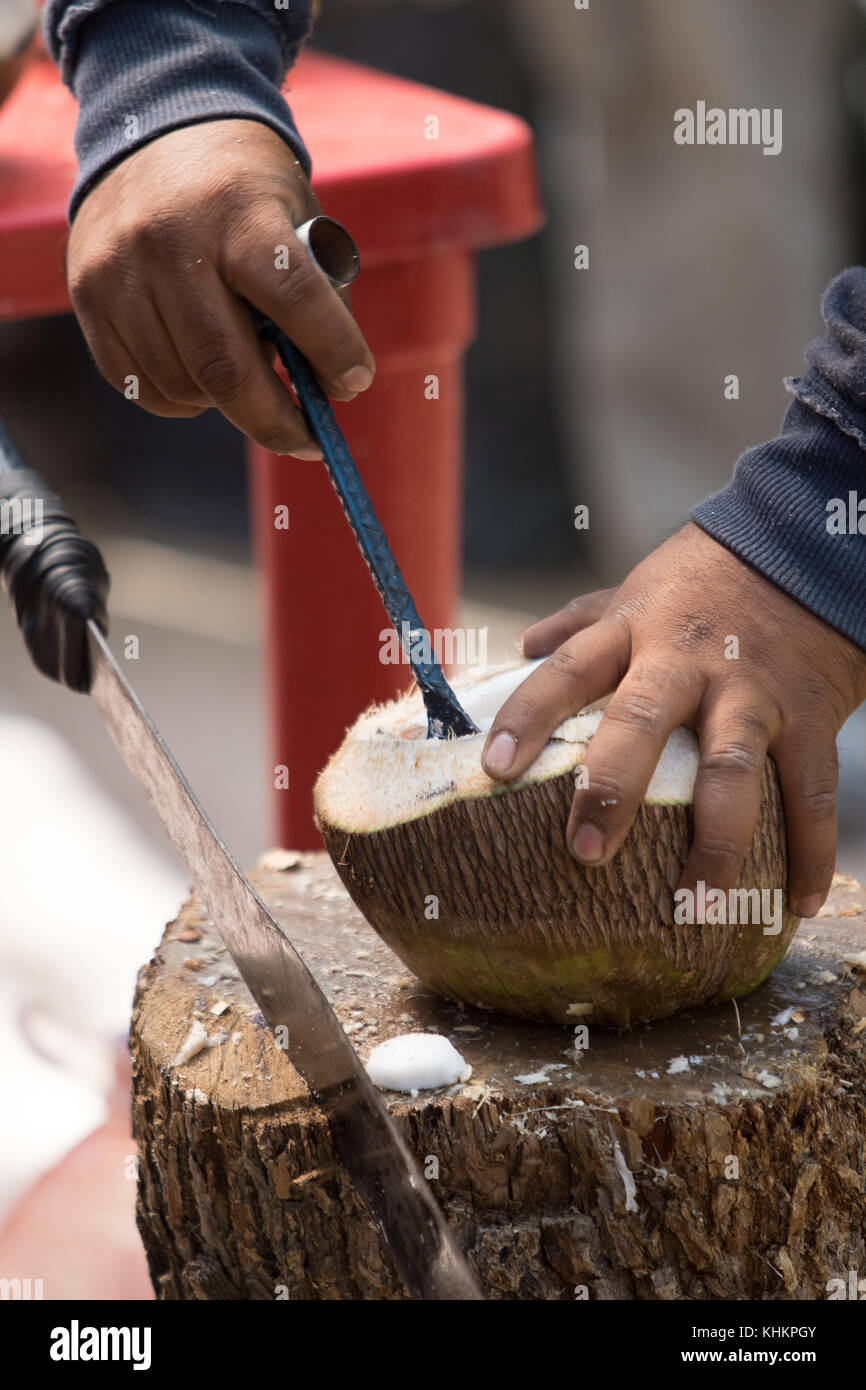 opening a coconut in Mexico Stock Photo Alamy