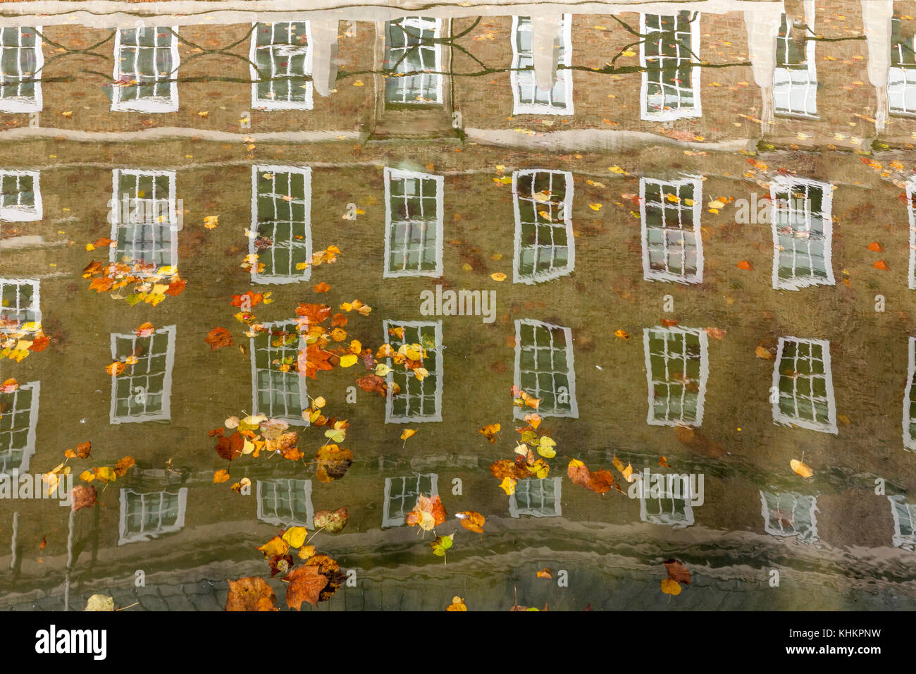 The windows of Bristol City Hall reflected in the moat water, with russet, gold, brown and yellow leaves floating on top. Bristol, West England. Stock Photo