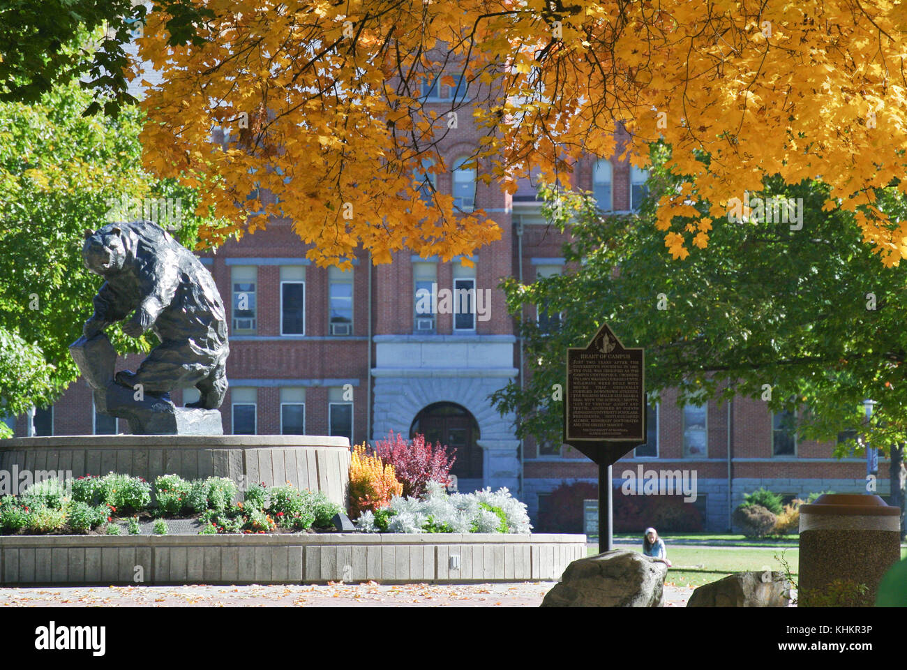 A look at University of Montana's Oval under a canopy of fall trees