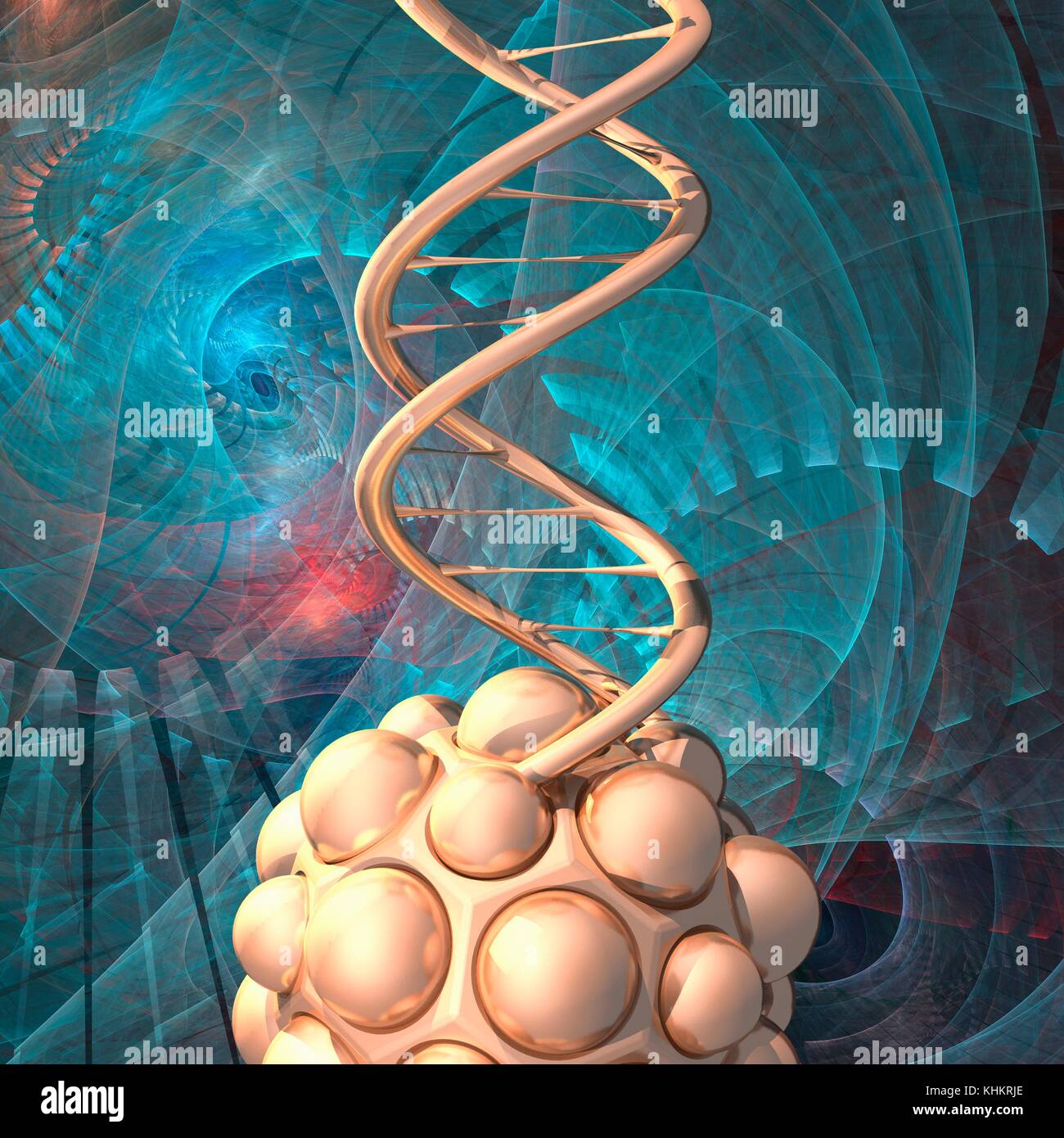 Conceptual illustration of a double stranded DNA (deoxyribonucleic acid) molecule exiting a nanomodule. DNA is composed of two strands twisted into a double helix. Each strand consists of a sugar-phosphate backbone attached to nucleotide bases. There are four bases: adenine, cytosine, guanine and thymine. The bases are joined together by hydrogen bonds. DNA contains sections called genes that encode the body's genetic information. Atoms are represented as spheres and are colour-coded: carbon (grey), nitrogen (blue), oxygen (red) and phosphorus (orange). Stock Photo