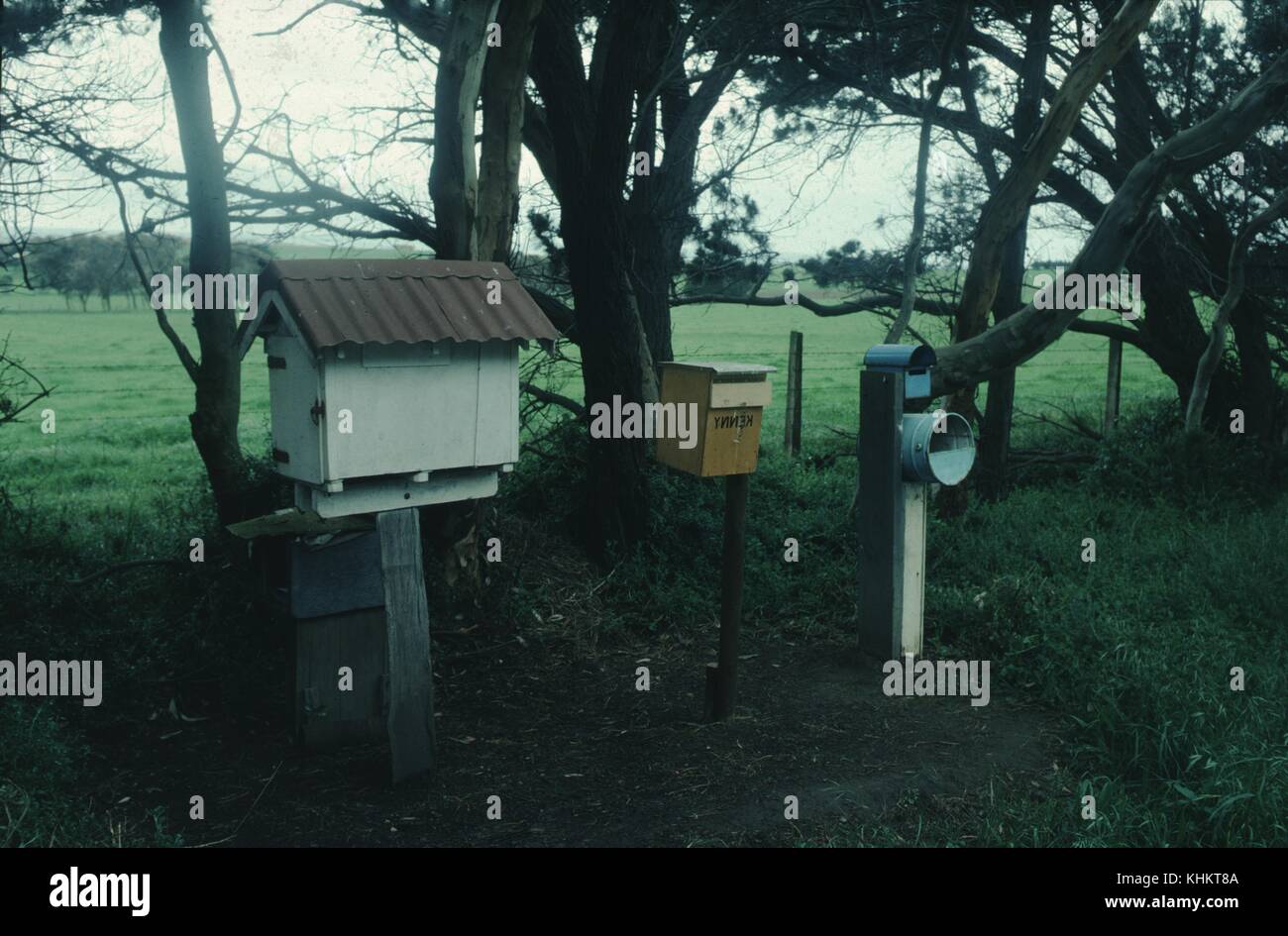 A photograph of three handmade mailboxes, the mailbox on the left is large and made to resemble a house, the middle mailbox is a simple box with a flap, the the mailbox on the right consists of two levels both made at least in part by large cans, behind the mailboxes lies a row of trees beyond which is an open green field, 1965. Stock Photo