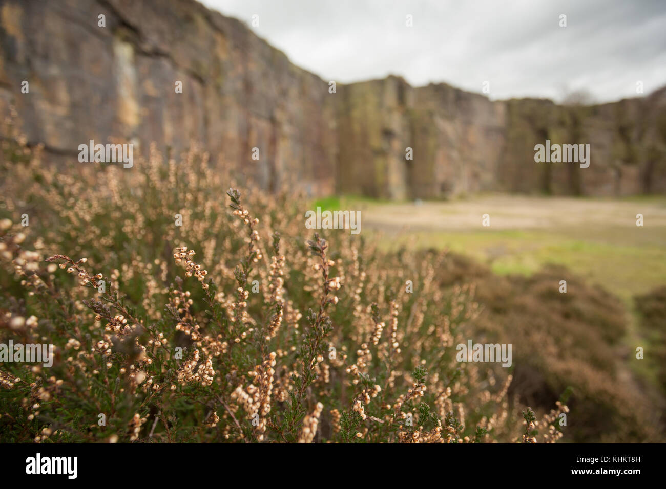 Rock climbing venue Hobson Moor Quarry, Stalybridge, Tameside, Greater