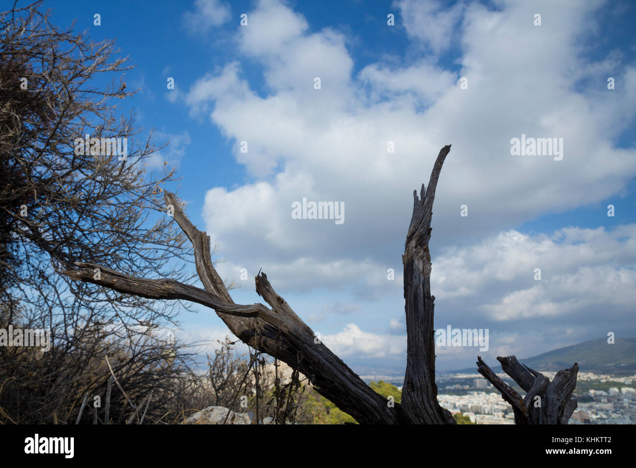 A log on the hill contradicts the view of the city below Stock Photo
