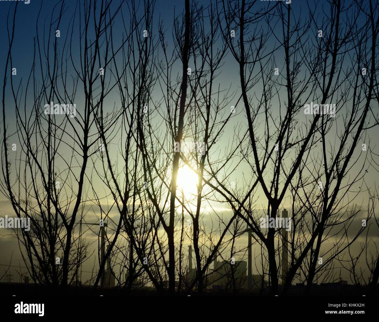 Trees backlit at sunrise and power plant in background Stock Photo