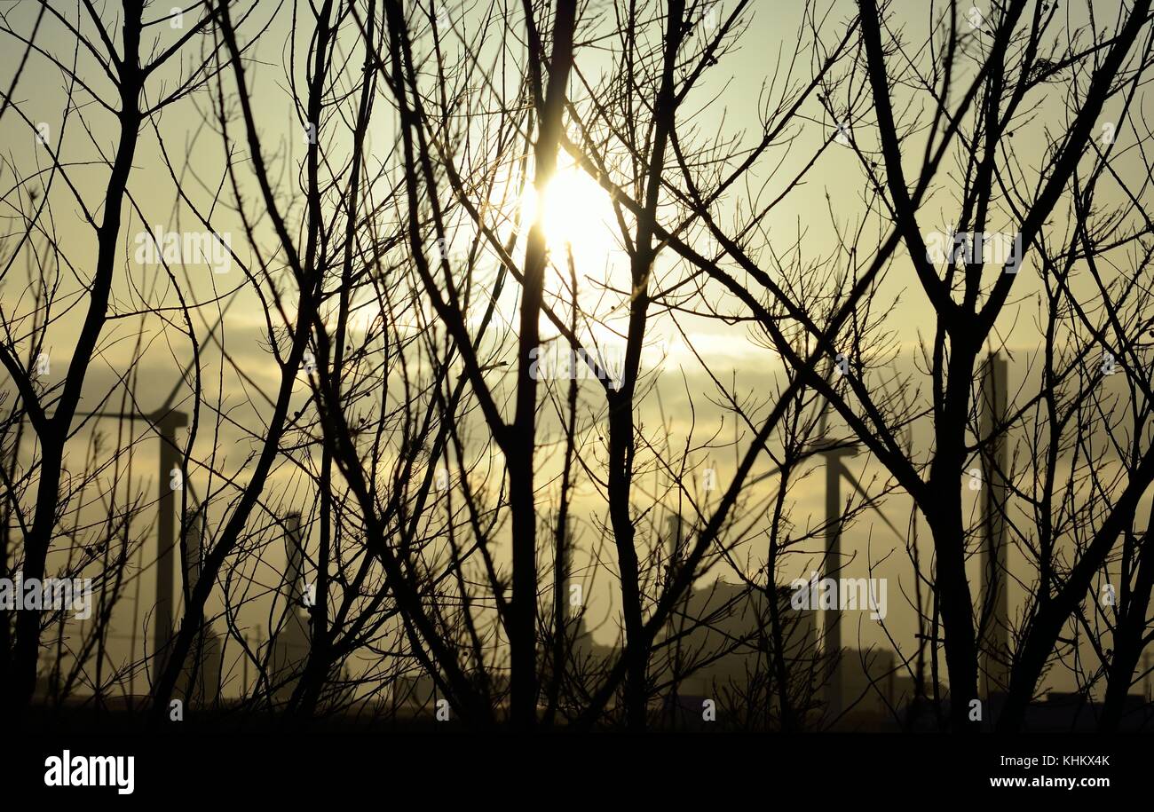 Trees in foreground at sunrise and power plant in background Stock Photo